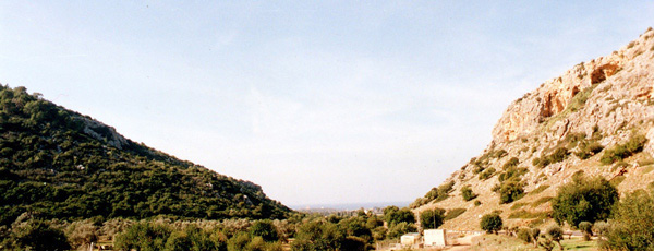 Evolution Canyon; I, lower Nahal Oren, Mt. Carmel, Israel