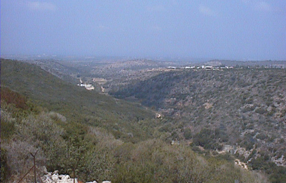 “Evolution Canyon” II at Nahal Keziv, Upper Galilee